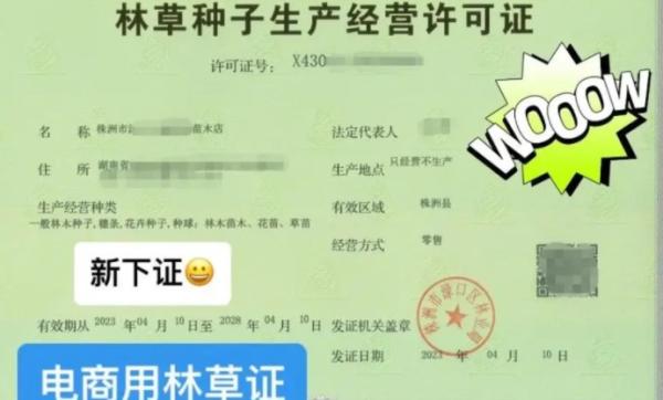 林木种子经营许可证办理指南