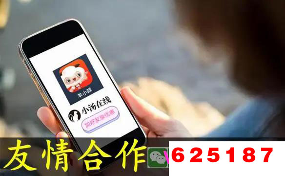 2024最新推荐：羊小咩消费额度怎么变现（步骤详解+案例分享）