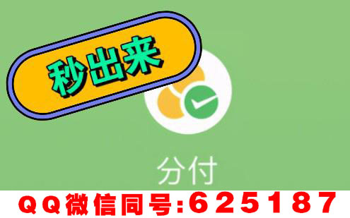 解锁分付额度套现的新途径：无需商家码，实现随时取用  ！ 第2张