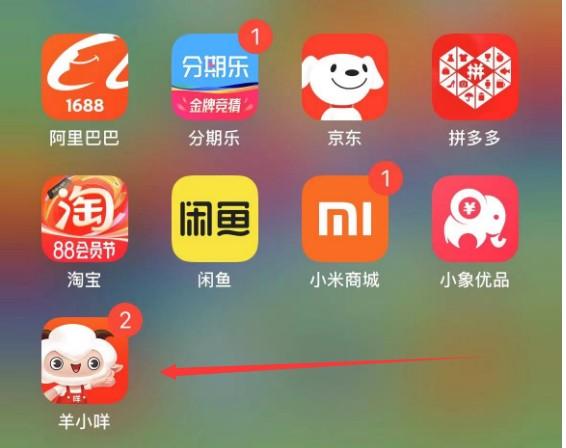 羊小咩购物额度去哪里申请？怎么提现出来，教你一步完成所有复杂手续