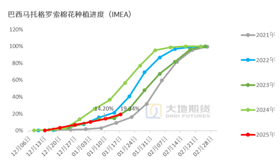 棉花:加关税威胁仍在,关注春节期间外盘对内盘指引 第80张 棉花:加关税威胁仍在,关注春节期间外盘对内盘指引 第80张