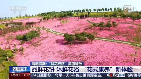 暴涨220%！这一市场，绽放！ 第5张