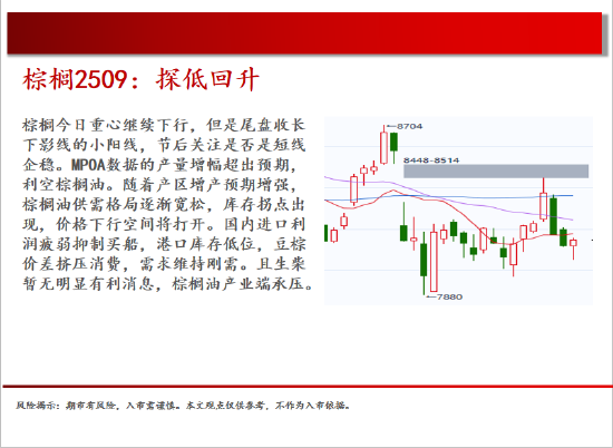 中天期货:棉花重新走弱 棕榈探底回升 第13张 中天期货:棉花重新走弱 棕榈探底回升 第13张