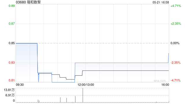 瑞和数智完成配售1.3亿股配售股份