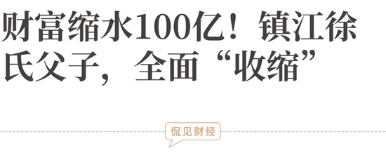 财富缩水100亿！镇江徐氏父子，全面“收缩” 第2张