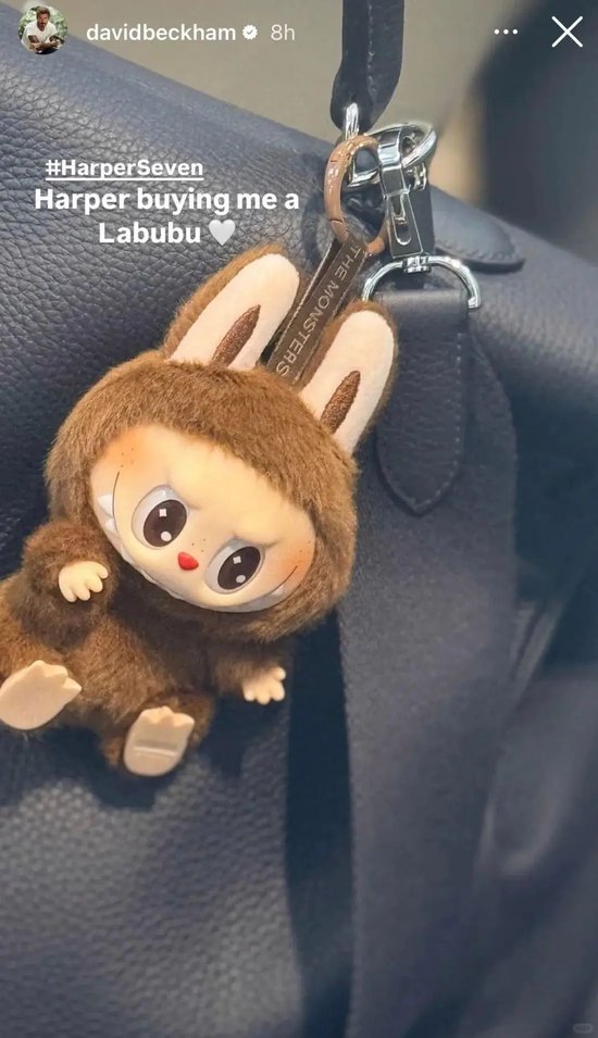 现象级曝光！蕾哈娜、贝克汉姆等明星纷纷“带货”！Labubu冲破关税打压，在美国卖断货→ 第4张