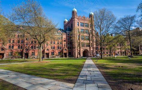 耶鲁折价抛售25亿美元私募股权套现 捐赠者陷入恐慌